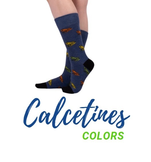logo calsetines